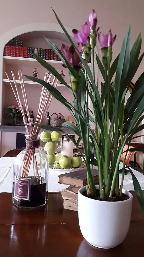 ***  Numero 4 Bed & Breakfast Pistoia Italy